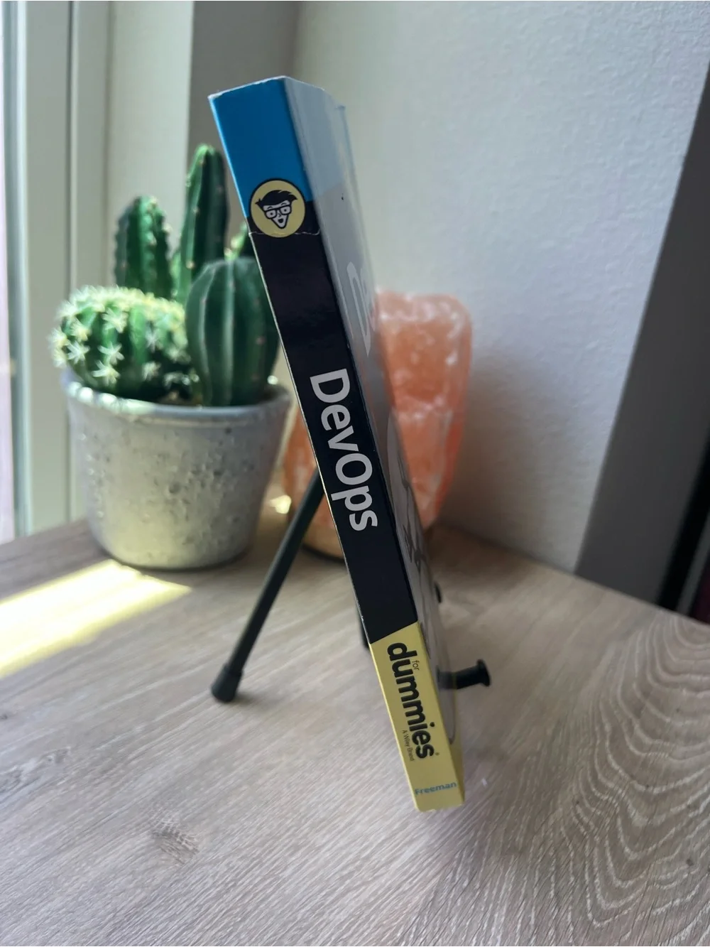 DevOps For Dummies Emily Freeman Paperback 2019 Tech IT Programming Book